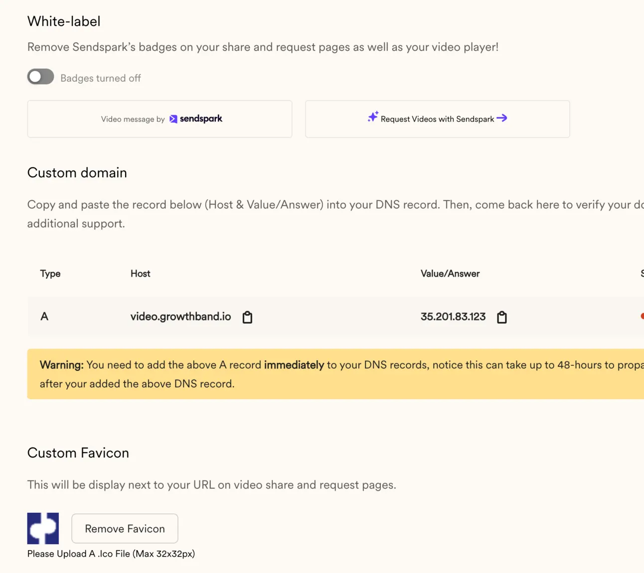 Sendspark workspace settings: white-label badges, a custom domain A record for a video subdomain and a custom favicon