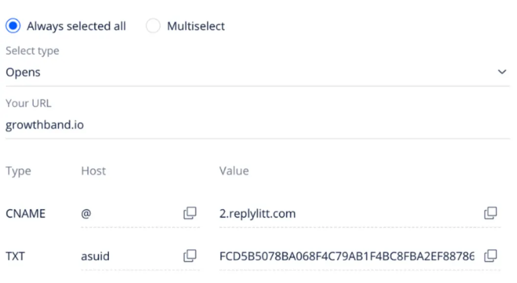 Custom tracking domain setup: a CNAME record for the link tracking URL and a TXT verification record